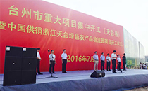 专业丝瓜app在线网站音响鼎力支持浙江重大项目开工仪式