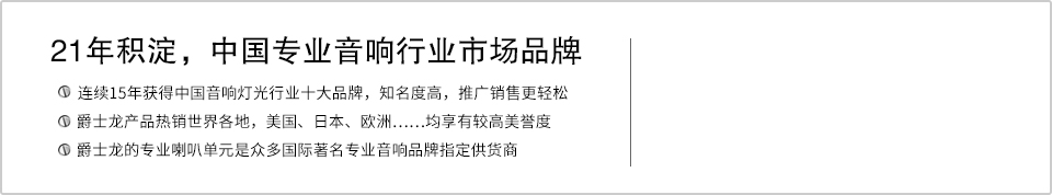 21年积淀，中国专业音响行业市场品牌
